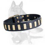Exclusive Design Studded Leather Collar for German Shepherd
