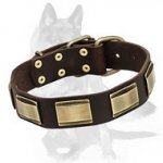 Exquisite German Shepherd Leather Collar with Brass Plates