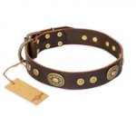 'One-of-a-Kind' FDT Artisan GSD Decorated Brown Leather Dog Collar