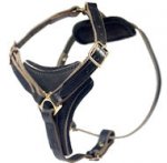 Latigo Adjustable Harness-German Shepherd Leather Harness