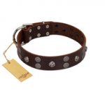 "Skull Valley" Handcrafted FDT Artisan Brown Leather German Shepherd Collar with Skulls