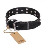 FDT Artisan 'Mystic Skulls' Decorated Leather German Shepherd Dog Collar with Skulls and Studs 1 1/2 inch (40 mm)