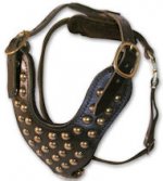 Two-Ply Latigo Dog Harness with Studs for German Shepherd