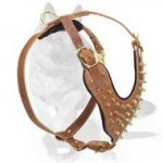 Spiked 2-Ply Leather Harness for German Shepherd