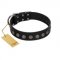 "Silent Star" Handmade FDT Artisan Designer Black Leather German Shepherd Collar with Engraved Plates