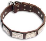 GSD Luxury Brown dog collar 20 inch/20'' collar-c83