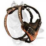 ‘Burn’ Handcrafted Leather Dog Harness for German Shepherd