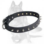 Chic Spiked Dog Collar for German Shepherd