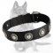 Nylon Dog Collar with Silver Conchos for Comfortable all-weather walks and training