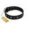 "Mr. Elegance" Designer FDT Artisan Black Leather German Shepherd Collar with Silver-Like Studs