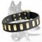 Wide Leather Dog Collar With Plates