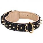 Leather Spiked Dog Collar with Nappa Padding for Comfort