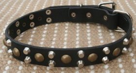 Handsome Leather Collar with Studs and Pyramids for German Shepherd