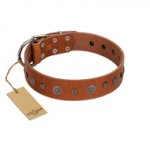 "Sweet Caramel" Designer FDT Artisan Tan Leather German Shepherd Collar