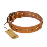 'Autumn Story' FDT Artisan Tan Leather German Shepherd Collar with Old Bronze Look Studs - 1 1/2 inch (40 mm) wide