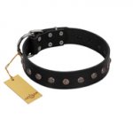 "Flower Rhapsody" FDT Artisan Premium Quaulity Black Leather German Shepherd Collar