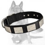 German Shepherd Dog Nylon Collar With Massive Vintage Plates