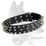 German Shepherd Spiked Leather Collar 21'' /21 inch dog collar-S44