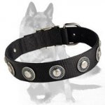 Nylon Dog Collar with Silver Conchos for Comfortable all-weather walks and training