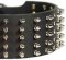 Spiked Leather Dog Collar for German Shepherd