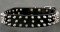 Black Spiked Leather Dog Collar for German Shepherd