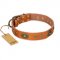 'Dandy Pet' FDT Artisan GSD Tan Leather Dog Collar