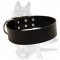 2 inch wide All Weather Leather Collar for German Shepherd