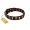 "Skull's Adventure" FDT Artisan Brown Leather German Shepherd Collar with Plates and Ovals