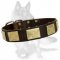 Gorgeous leather German Shepherd collar with massive plates