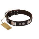 "Baller Status" FDT Artisan Brown Leather German Shepherd Collar Adorned with a Set of Chrome Plated Studs and Plates
