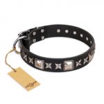 'Space Walk' FDT Artisan Black Leather German Shepherd Dog Collar with Adornments