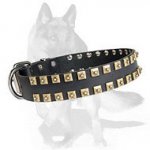 Exclusive Leather Collar with Golden-like Square Studs for German Shepherd