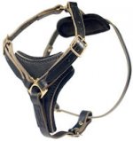 Tac-Black Leather Padded Tracking Harness for German Shepherd