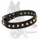 German Shepherd Leather Dog Collar with Nickel Plated Pyramids