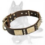 Genuine Leather Collar with Luxury Brass Plates and Nickel Spikes