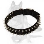 Black Nylon Dog Collar with 2 rows of Shiny Spikes