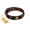 "Crazy Pirate" FDT Artisan Brown Leather German Shepherd Collar with Old Bronze-Plated Skulls and Plates