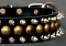 Studded Latigo Leather Dog Collar for German Shepherd