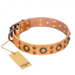 'Sophisticated Glamor' FDT Artisan Natural Leather Collar with Fancy Old-bronze Plated Decorations for German Shepherd