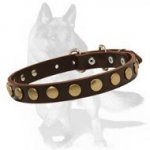 Best ever Leather Collar with Studs for German Shepherd