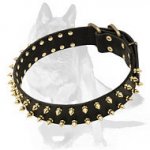 German Shepherd Luxurious Spiked Leather Collar