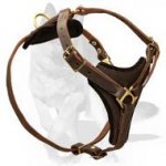 ‘Sky Fall’ Superb Design Tracking/Walking German Shepherd Dog Harness