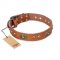 'Stunning Dress' FDT Artisan Tan Leather German Shepherd Collar with Goldish Plates and Studs - 1 1/2 inch (40 mm) wide