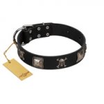 "Sea Rover" Embellished FDT Artisan Black Leather German Shepherd Collar with Chrome Plated Crossbones and Plates