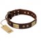 "Shining Armour" FDT Artisan Brown Leather German Shepherd Collar with Decorations