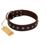 "Boundless Energy" Premium Quality FDT Artisan Brown Designer Leather German Shepherd Collar with Small Pyramids