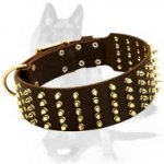 Stunning Dog Collar with five rows of Brass Spikes