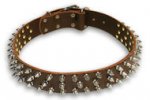 Alsatian Dog Spiked Brown collar 23'' /23 inch dog collar-S44
