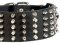 Spiked and Studded German Shepherd Collar