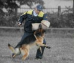 Bite Sleeve - X-Sleeve for Dog Trainers